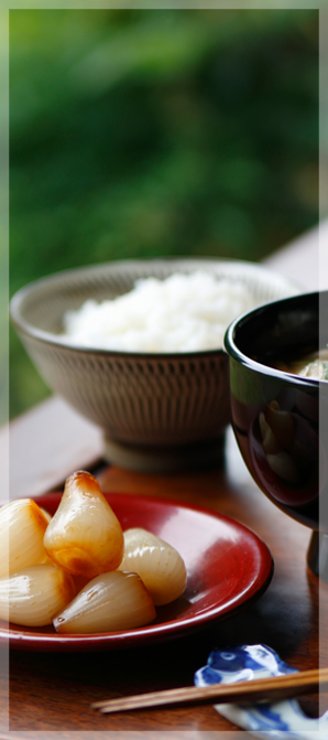 上澤梅太郎商店概要