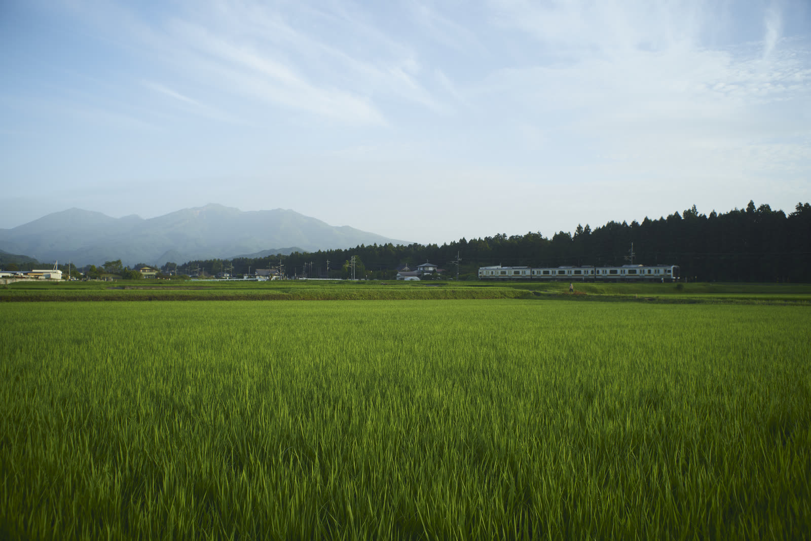 日光今市の田園風景