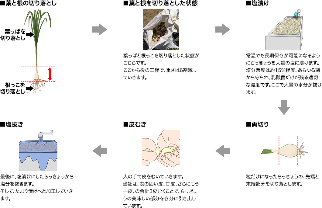 一粒の豊かさ（整形作業）図解