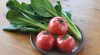 新着・季節のおすすめ