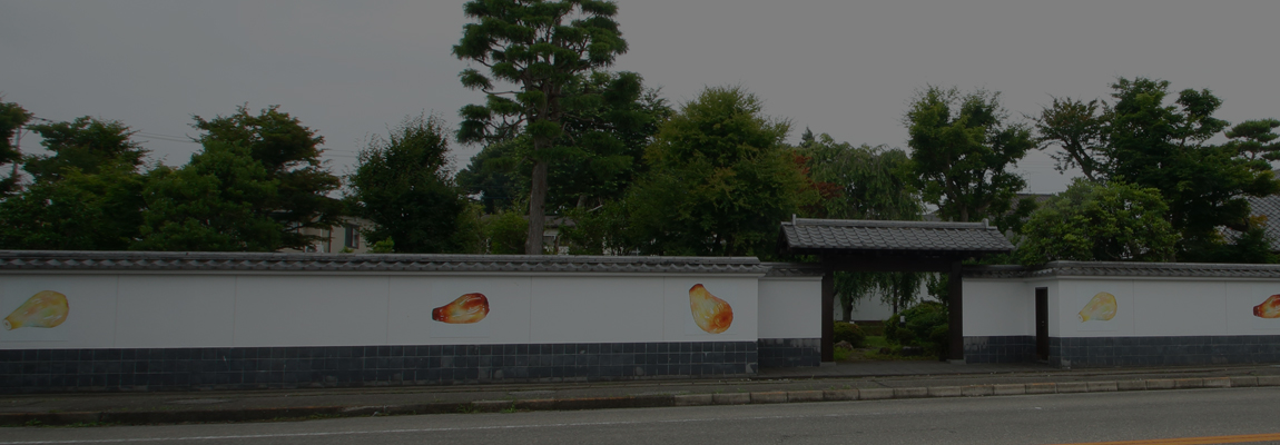梅太郎通信